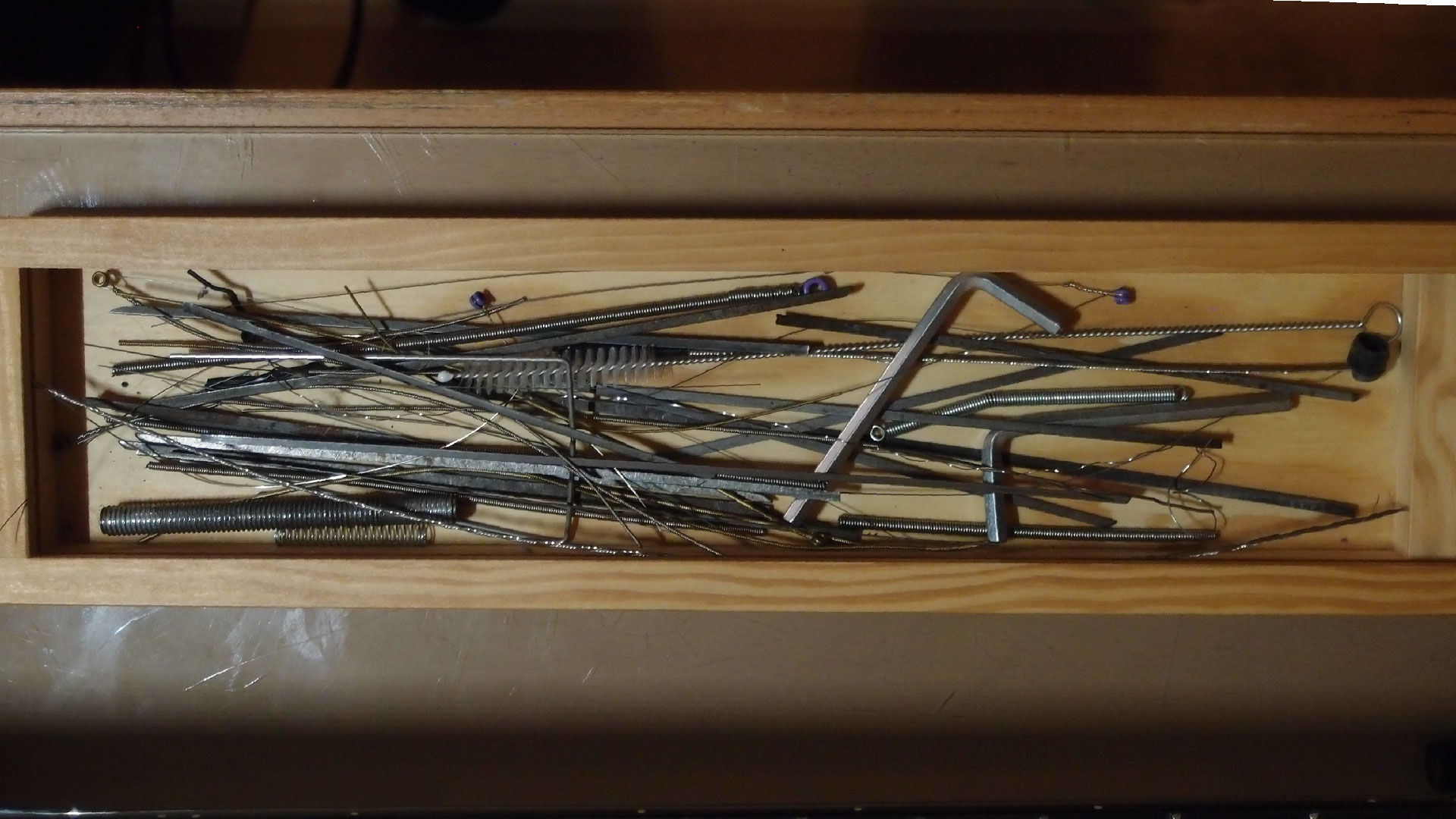 2024 geliehen von Ame Zek (Foto)